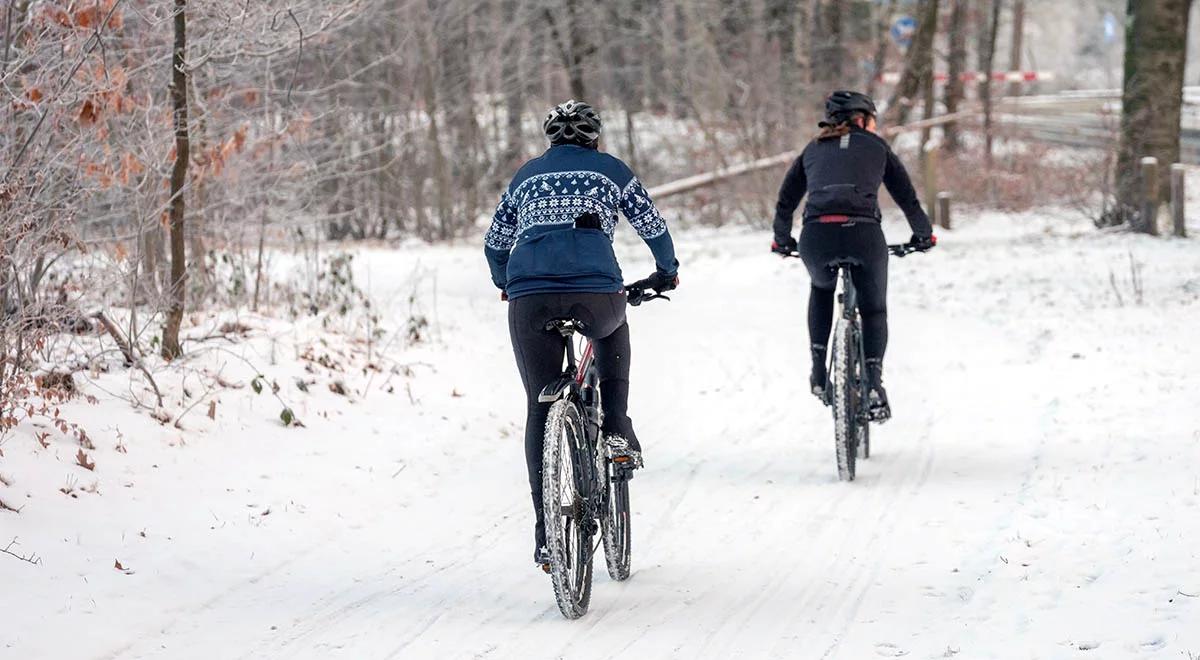 Nie będzie nowej drogi rowerowej w Toruniu. Mieszkańcy nie chcą wycinki drzew