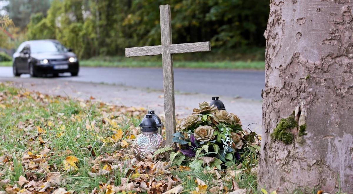 31-latek ściął przydrożny krzyż. Media: planował akcję na większą skalę