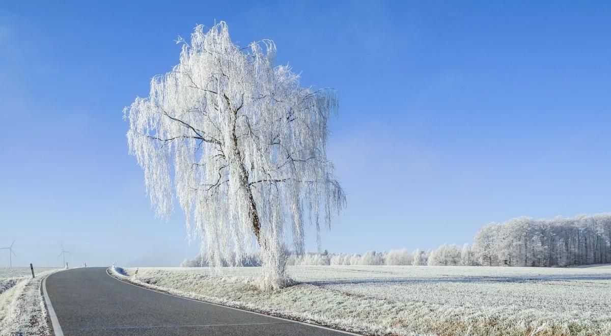 GDDKiA ostrzega kierowców: śnieg i mgły utrudniają jazdę