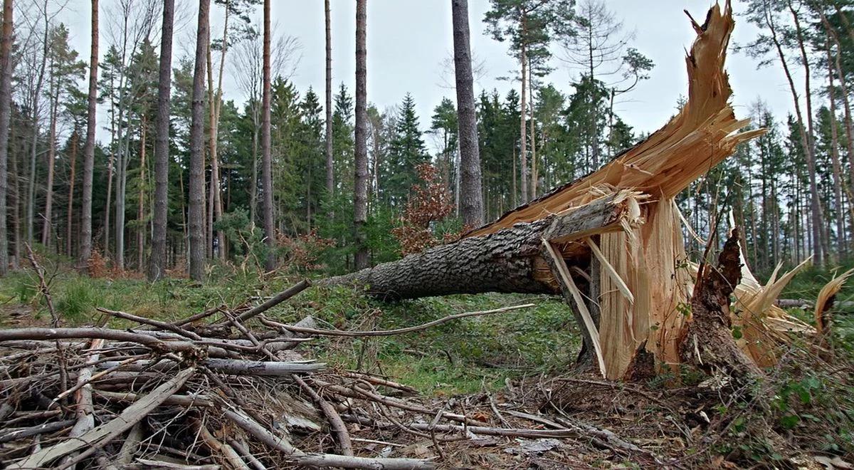 Unia pokryje część strat po nawałnicach