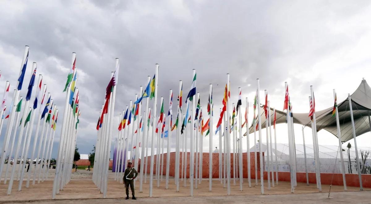 COP22: rusza szczyt klimatyczny w Marrakeszu. Polska promuje koncepcję leśnych gospodarstw węglowych