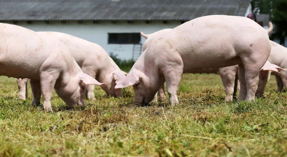 Mały spis rolny. Dziś ostatni dzień na wzięcie udziału w badaniu GUS