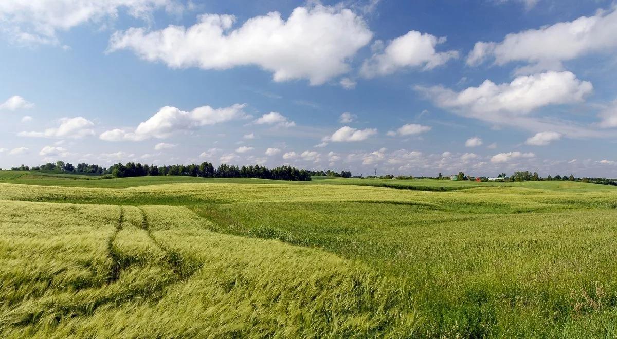 Piękny początek tygodnia. IMGW: będzie pogodnie i słonecznie