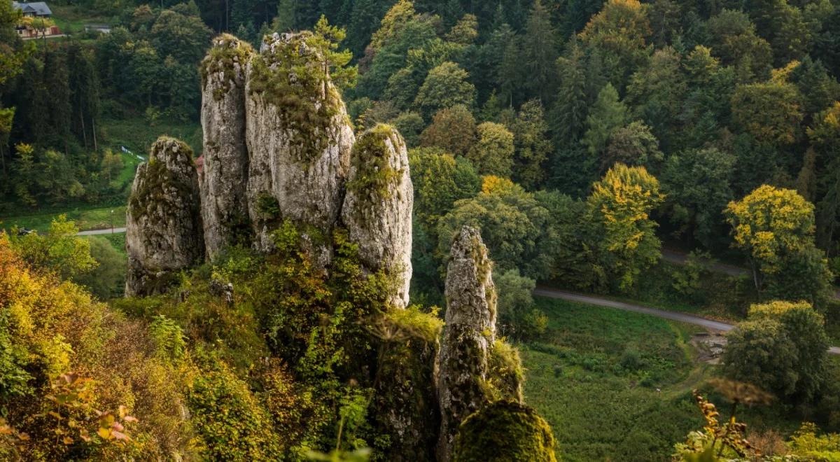 Europejski Dzień Parków Narodowych. Krystian Tyrański: chronią nasze dziedzictwo