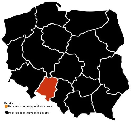 Kolejne przypadki zakażenia wirusem AH1N1