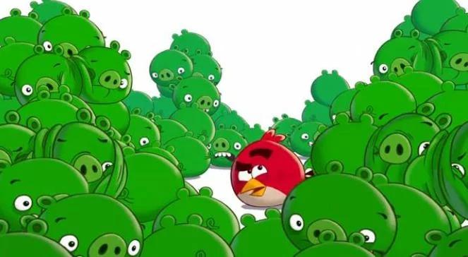 "Złe świnki" zastąpią "Angry Birds"