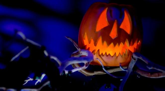 Halloween w Polsce. Katecheci protestują