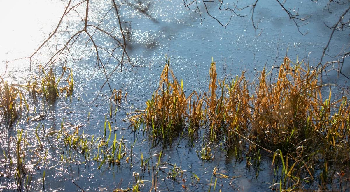 Nadal obowiązują ostrzeżenia hydrologiczne dla Podlasia i Mazowsza. IMGW przekazał najnowsze dane
