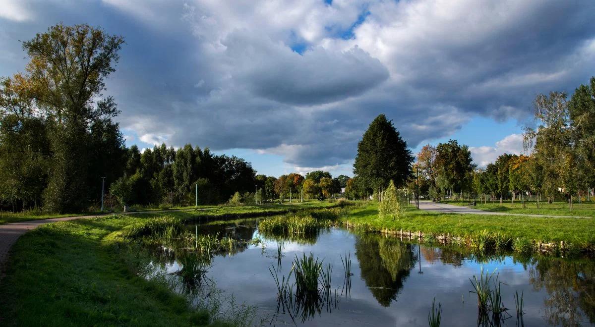 Czwartek ma być pogodny, a piątek wyjątkowo ciepły. Prognoza pogody