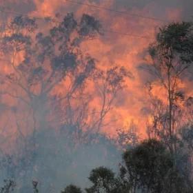 Groźne pożary w Australii. Nawet 30 metrowe płomienie