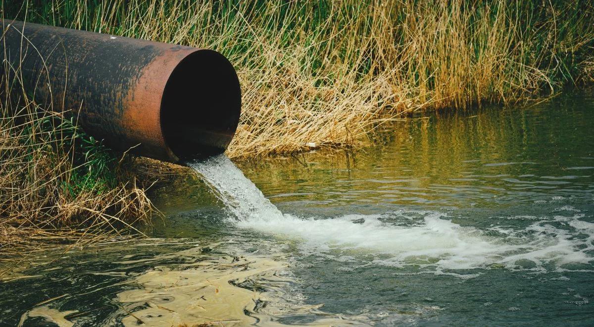 Kanał Wawerski jest zanieczyszczony. WWF alarmuje: metale ciężkie, azot, fosfor