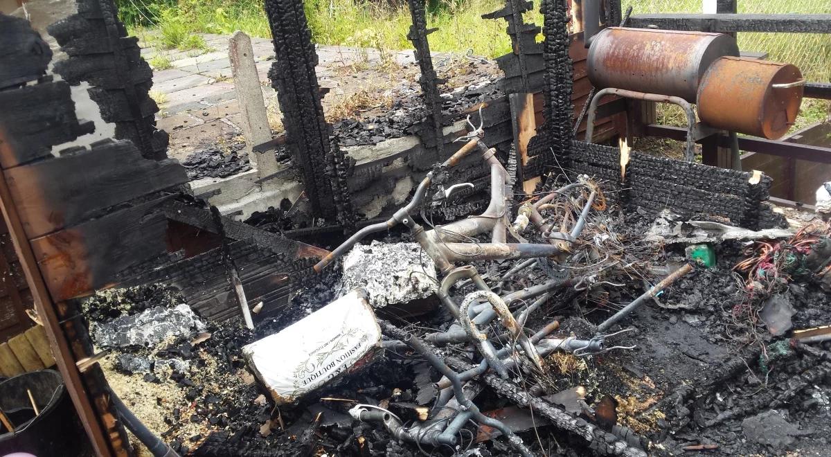"To mogło się skończyć tragedią". Antypolski atak w Wielkiej Brytanii