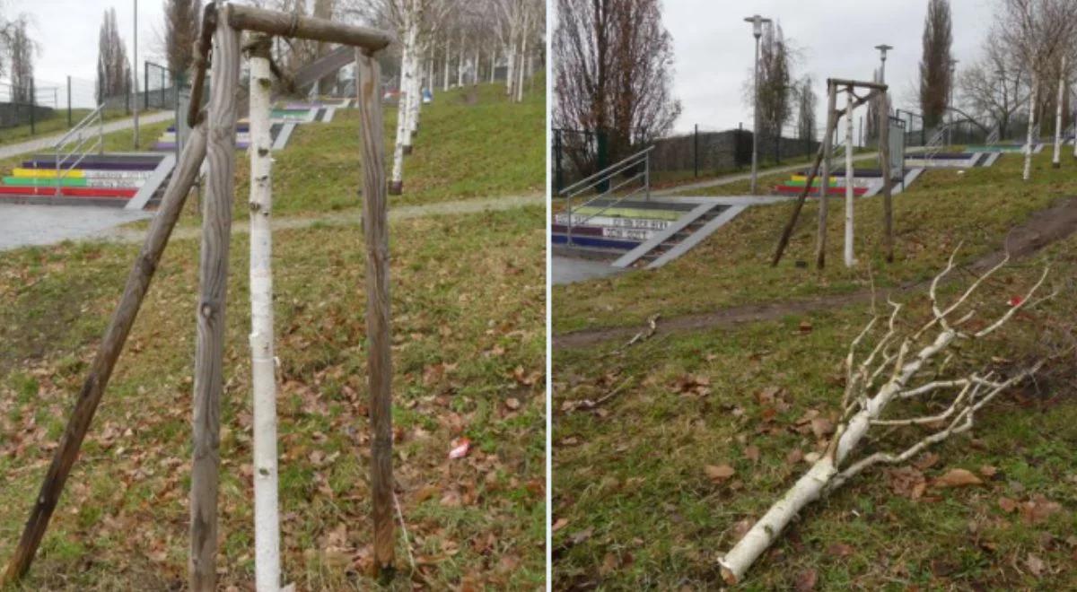 Dewastacja na terenie obozu koncentracyjnego Mittelbau-Dora. Nieznani sprawcy zniszczyli drzewo w gaju pamięci