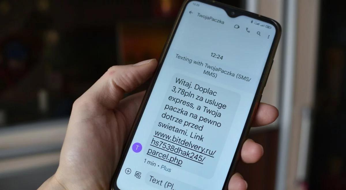 Jak nie paść ofiarą oszustów w sieci. Ekspert CERT o kulisach ochrony m.in. naszych kont bankowych w sieci 