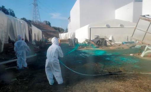 Barwniki pomogą wykryć kolejne wycieki? Fukushima walczy ze skażeniem