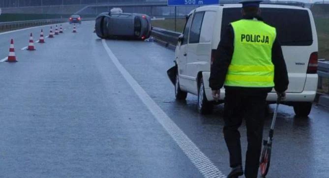 Wypadek na autostradzie A1. Dwa samochody zderzyły się z łosiem