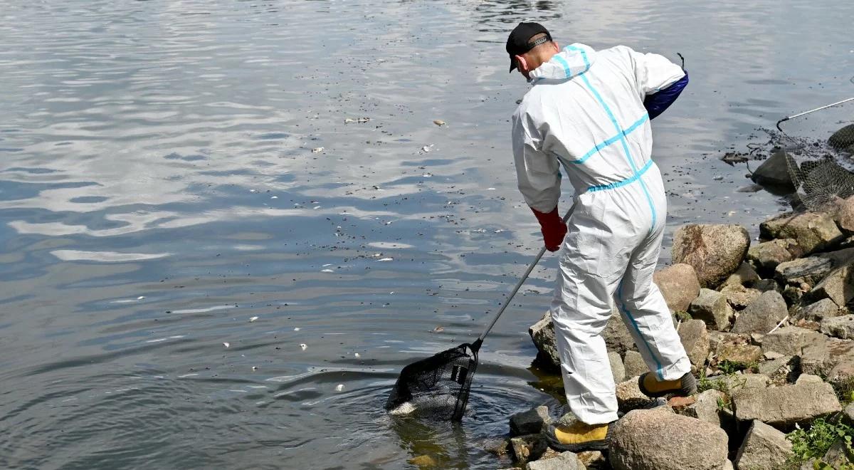 Zagraniczne laboratoria przebadają kilkadziesiąt próbek wody z Odry. Pierwsze próbki trafiły już do Czech