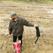 Archeolodzy pojadą do Smoleńska. Jest wstępna zgoda