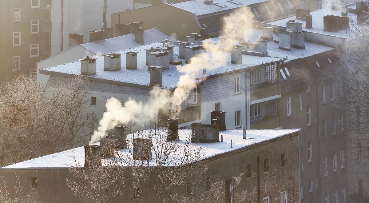 "Czyste Powietrze" ze wsparciem doradców. Rząd zachęca do ekologicznych inwestycji