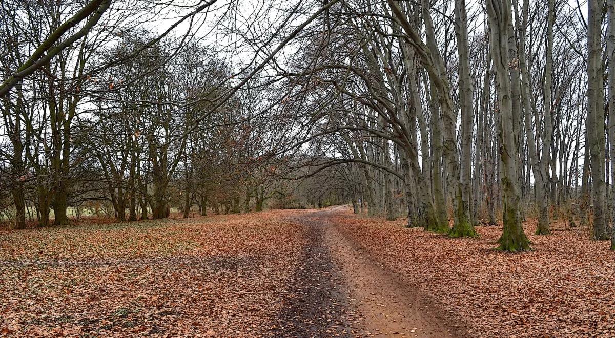 Prognoza pogody na dziś: pochmurno i deszczowo. A jak w weekend?