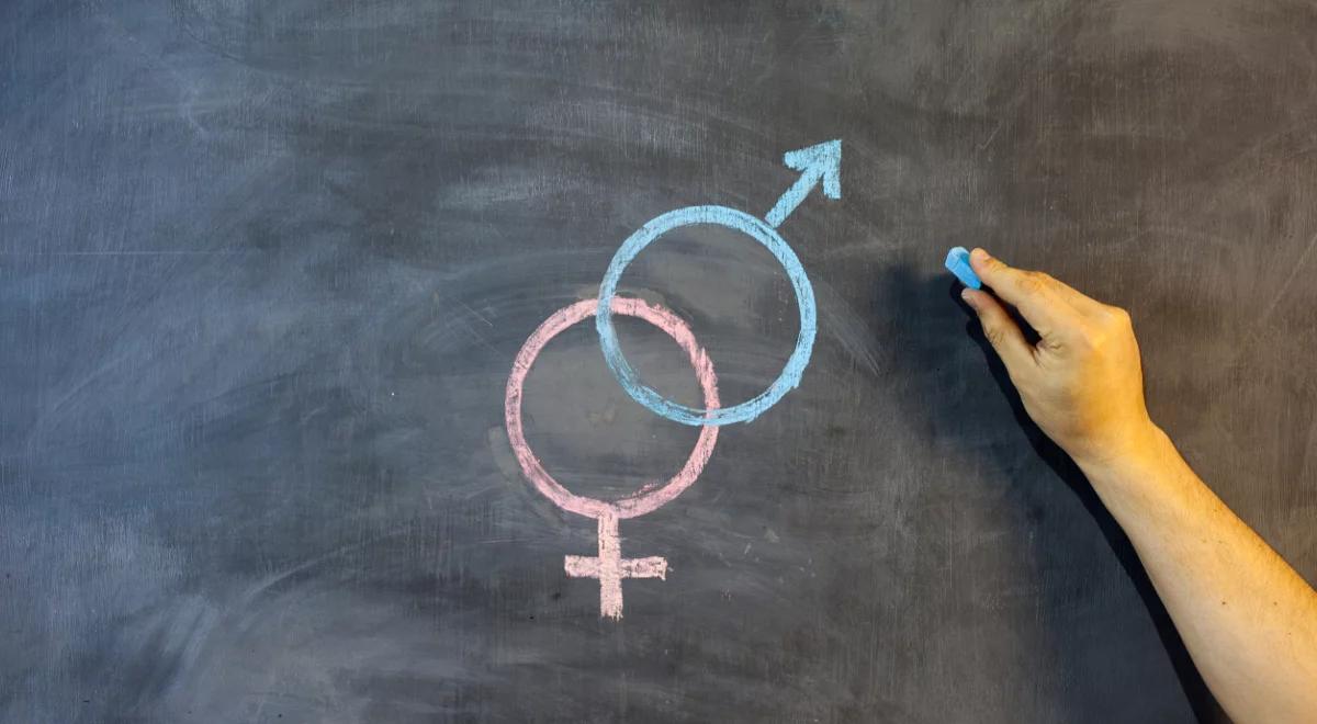 "Zajmuje się promowaniem ideologii gender". Wiceminister sprawiedliwości o konwencji stambulskiej