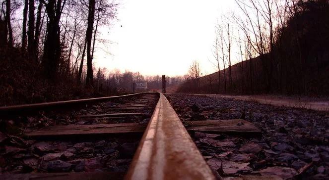 Uczestnik Woodstocka potrącony przez pociąg?