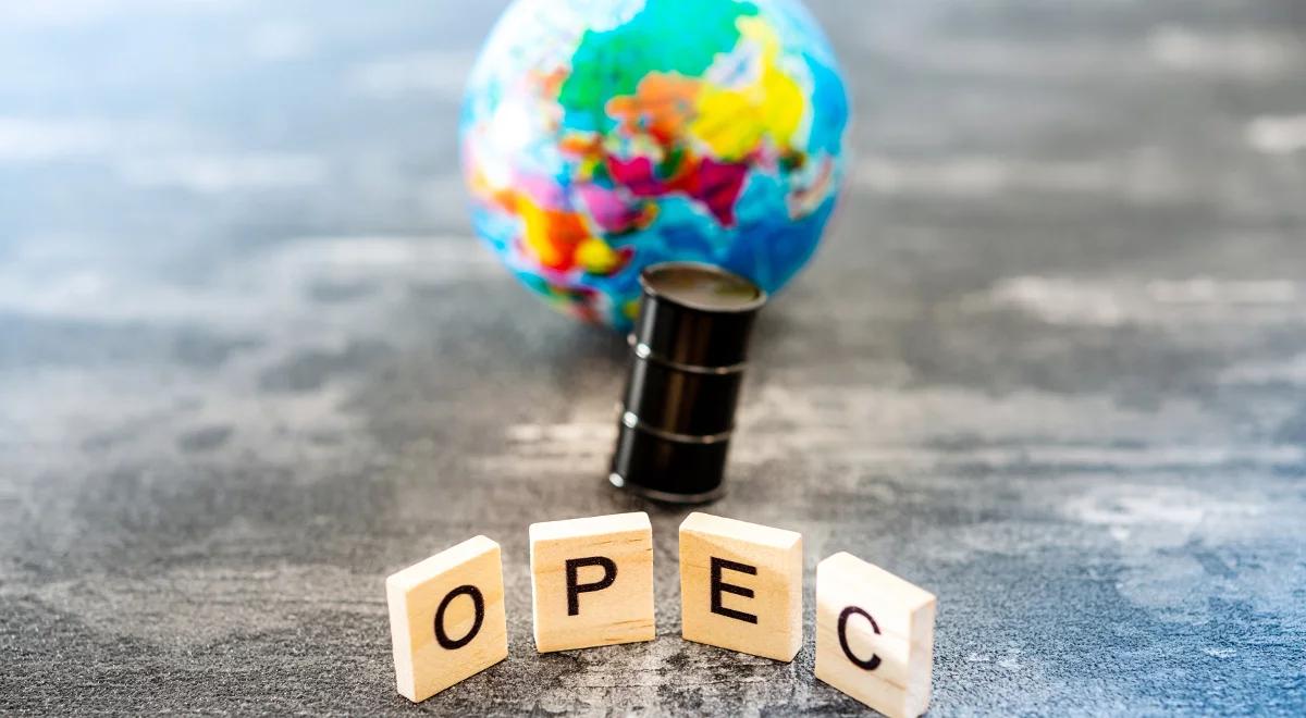 OPEC: o poziomie wydobycia ropy zdecyduje stanowisko Rosji?