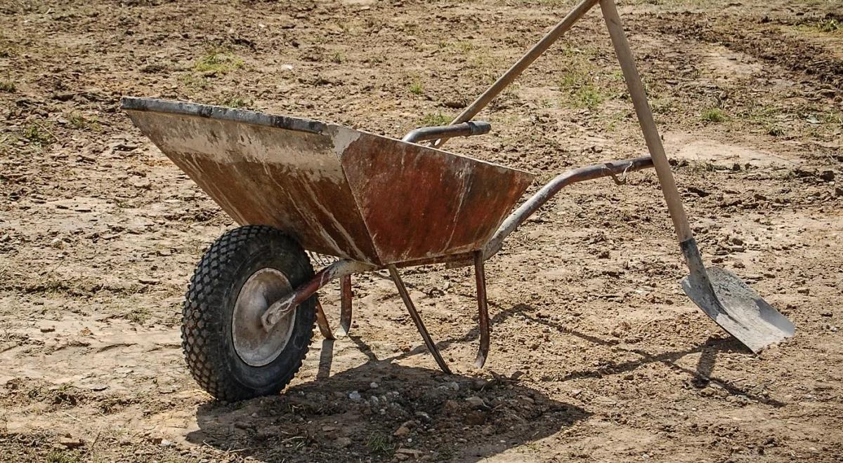 Zrzekł się historycznego skarbu, dostał nagrodę