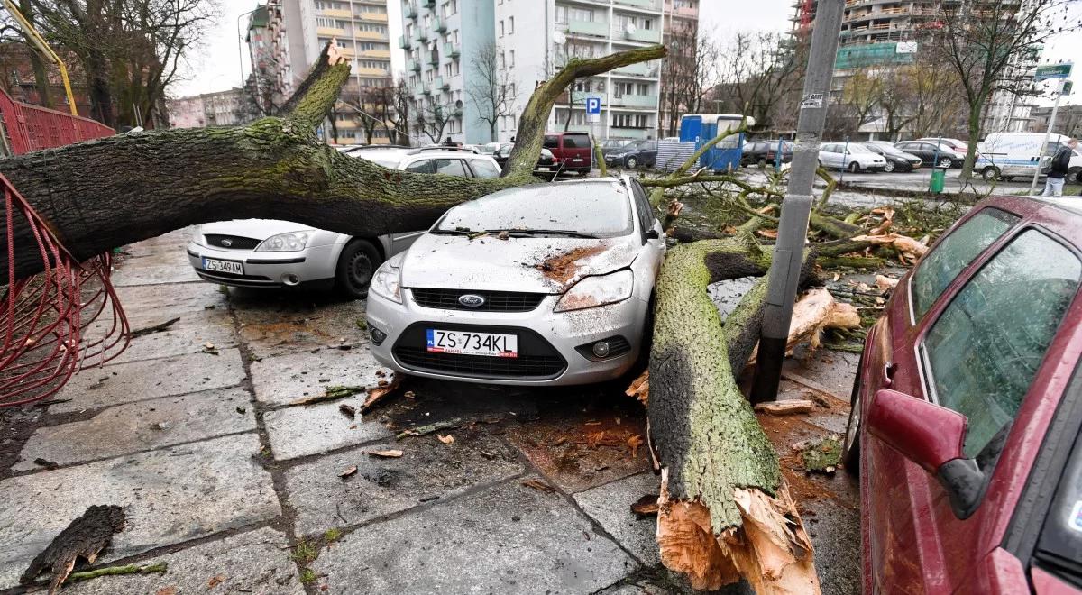 Wichury nad Polską. Powalone drzewa, zniszczone auta, ponad 1600 interwencji straży pożarnej