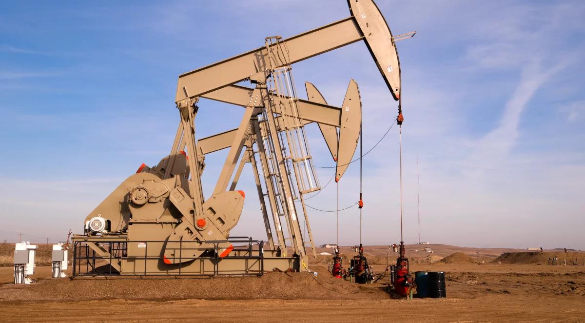OPEC+ zwiększa wydobycie ropy naftowej. Na początek o 400 tys. baryłek dziennie