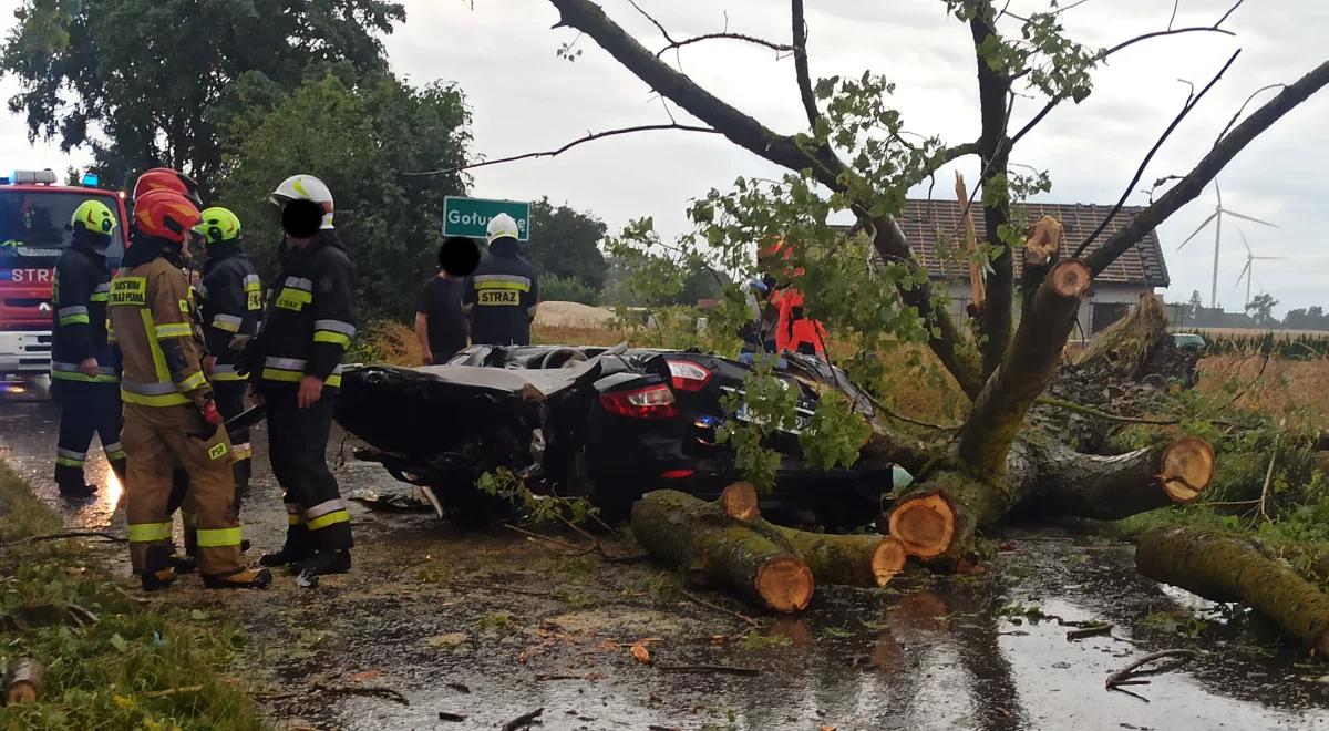 Kujawsko-pomorskie: drzewo spadło na jadący samochód. Jedna osoba nie żyje