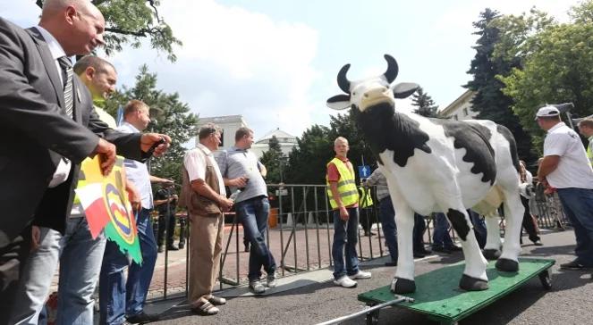 Warszawa: będą manifestować zwolennicy uboju rytualnego