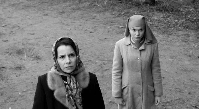 Cezary 2015. "Ida" bez nagrody, wielki triumf "Timbuktu"