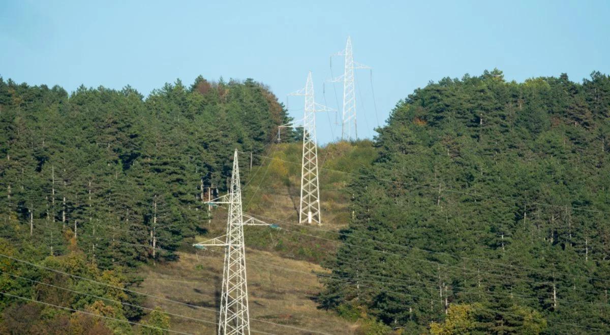 PSE i Lasy Państwowe podpisały porozumienie dot. współpracy przy rozwoju sieci energetycznych