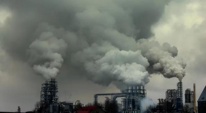Alarmujące dane ze Śląska ws. smogu