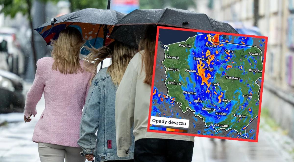 Gdzie jest burza? Rzecznik RCB o zagrożeniach i interwencjach służb
