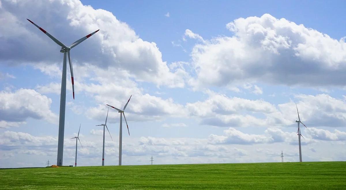 IKEA do końca roku będzie niezależna energetycznie