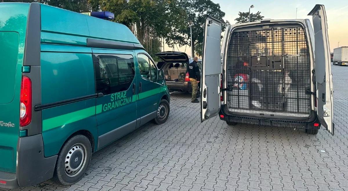 Usiłowali przekroczyć polsko-niemiecką granicę. SG zatrzymała kurierów z grupą migrantów