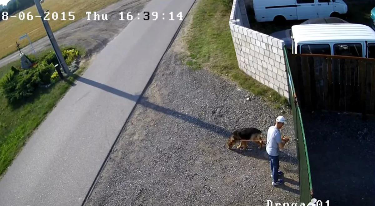 Przywiązał suczkę do bramy schroniska. Biegacz oskarżony o znęcanie się nad psem