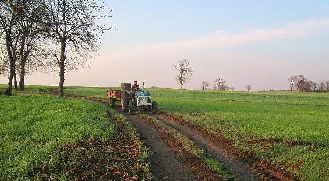 Rolnicy nie muszą wypełniać PIT-u do 2014