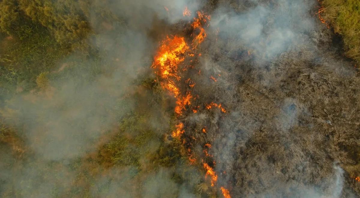 Pożary pustoszą Syberię. Odwołano loty i żeglugę w regionie