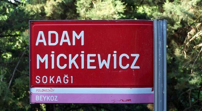 Książe Czartoryski zakłada Adampol