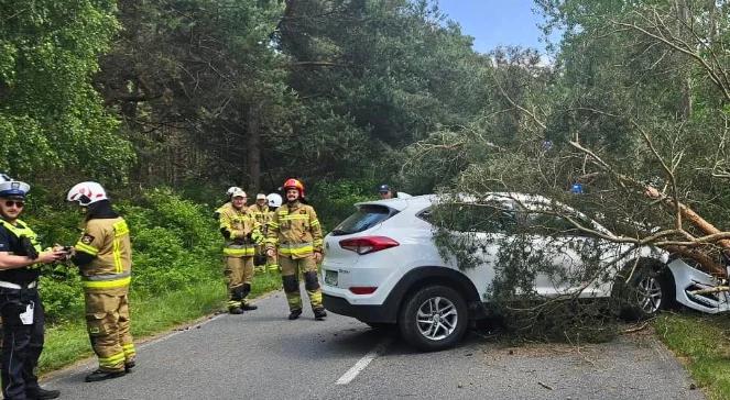 Wypadek na Półwyspie Helskim, auto uderzyło w drzewo. Śmigłowiec w akcji