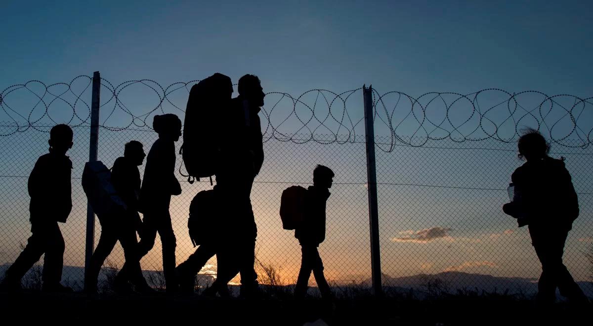 Słowenia: sumeryjskie zabytki odkryto w obozie dla migrantów