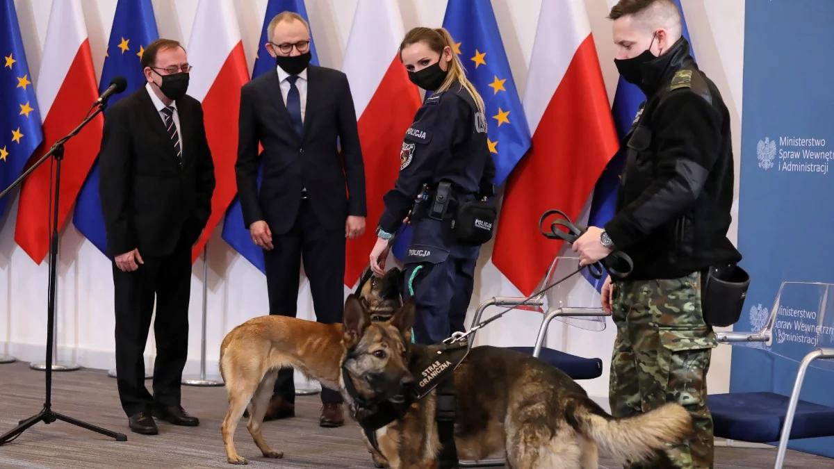 Czworonożni funkcjonariusze. Powstał projekt ustawy regulujący status zwierząt w służbie