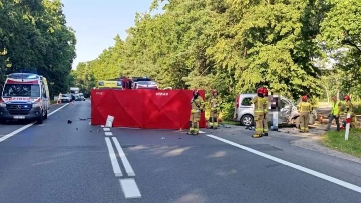 Plaga wypadków na drogach. Eksperci mają rozwiązanie, nie spodoba się kierowcom