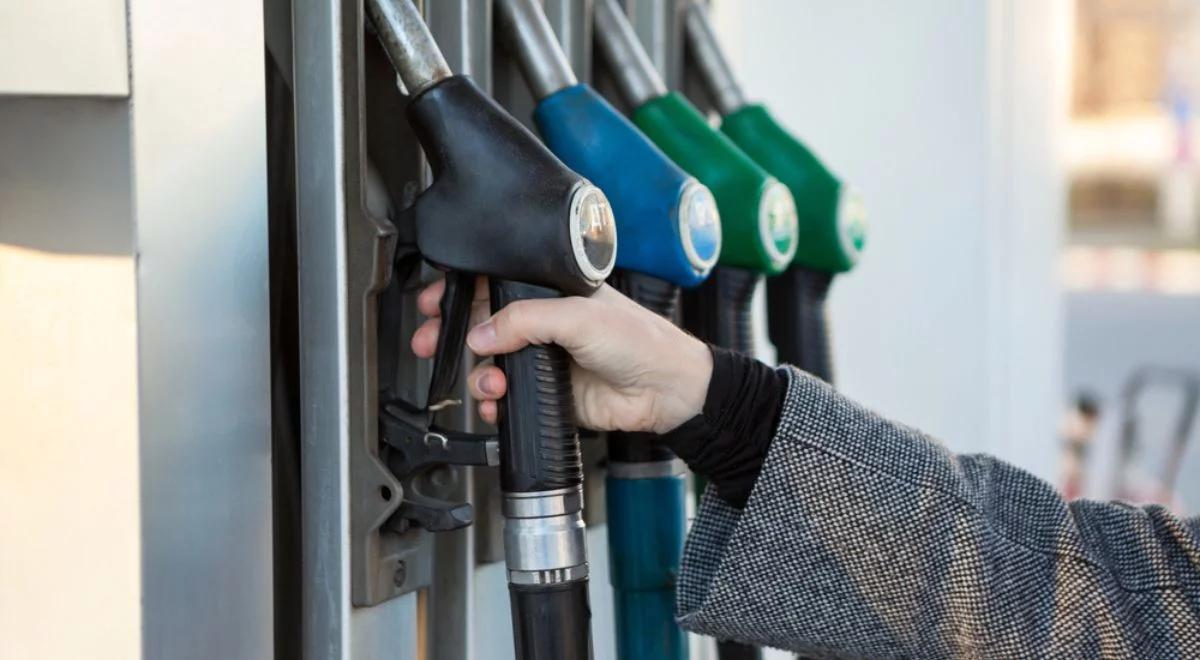 Dobra informacja dla kierowców. Rośnie prawdopodobieństwo spadku cen diesla na stacjach paliw
