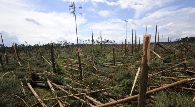 Natura pokazała siłę. Trwa szacowanie strat