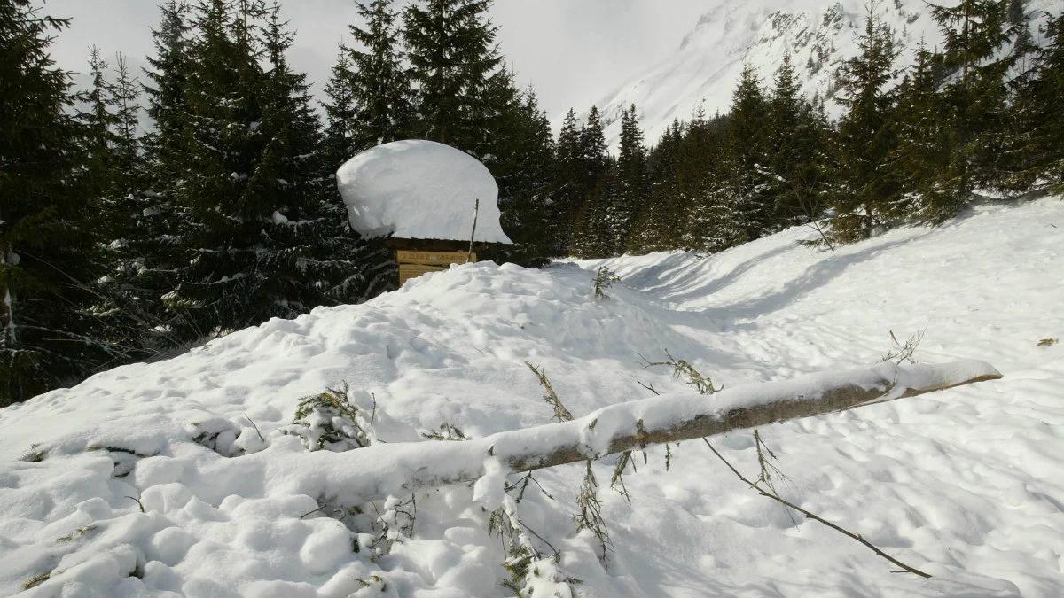 Atak zimy w całej Polsce. Setki ludzi bez prądu