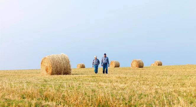 ANR: grunty rolne stają się coraz cenniejsze